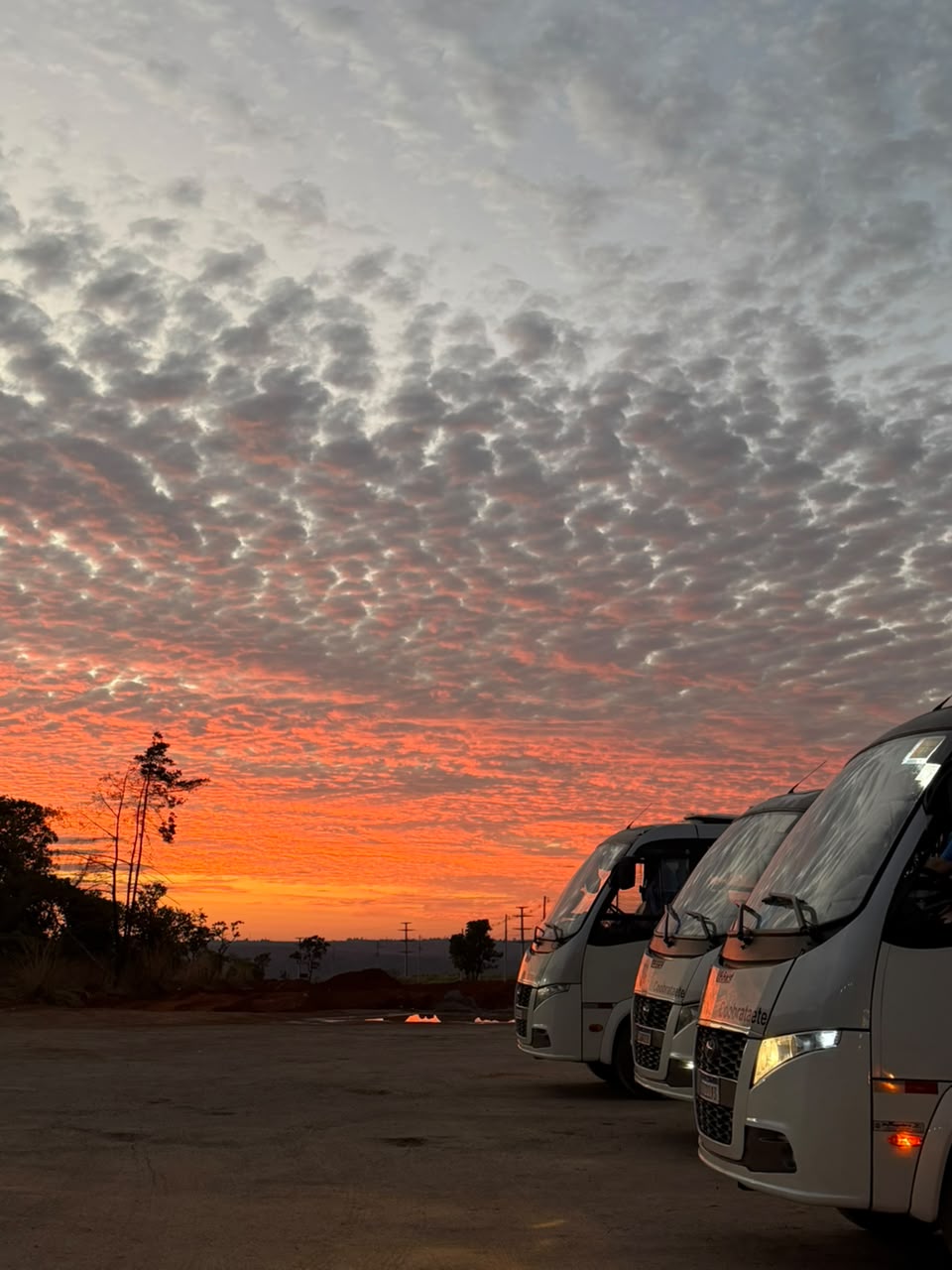 Ônibus da Coobrataete estacionados ao amanhecer